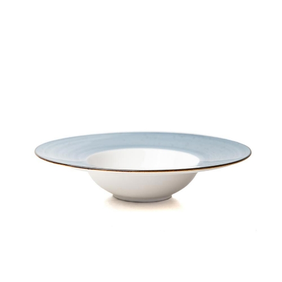 Dinner Bowl Plate * White + Blue